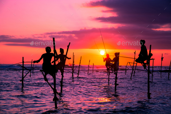 Traditional stilt fisherman in Sri Lanka - Stock Photo - Images