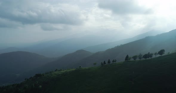 Aerial View of Pristine Green Mountain with Trees in Summer alt