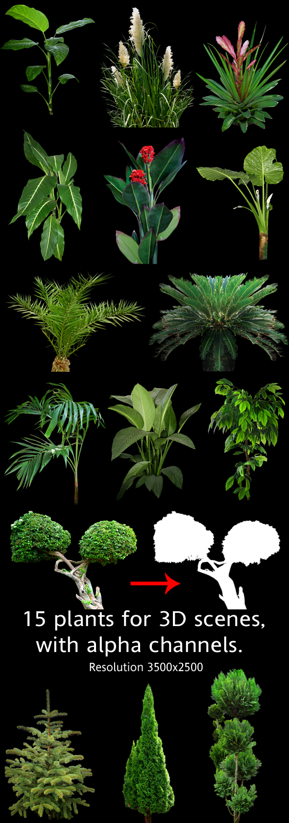 Plants for 3D - 3Docean 93789