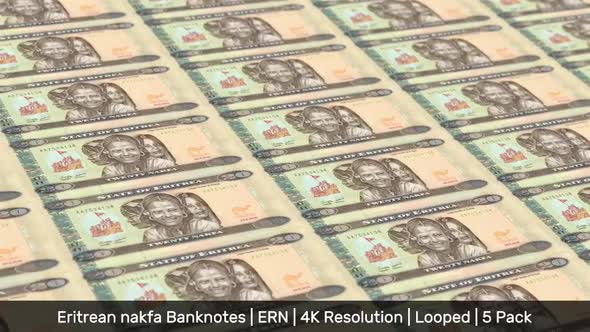 Eritrea Banknotes Money / Eritrean nakfa / Currency Nkf / ERN / 5 Pack - 4K alt