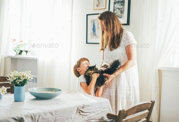 Cute toddler boy with cat on hands and his mother at bright living room - Stock Photo - Images