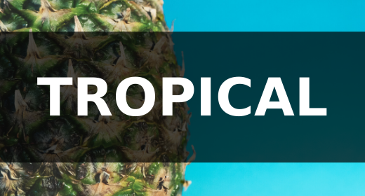 TROPICAL