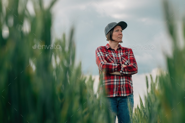 Wheat farmer agronomist standing in cultivated cereal crops agricultural field with arms crossed