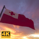 Tonga Flag on a Flagpole V3 - 4K - VideoHive Item for Sale