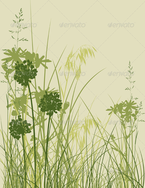 Green Grass Background - Flowers & Plants Nature