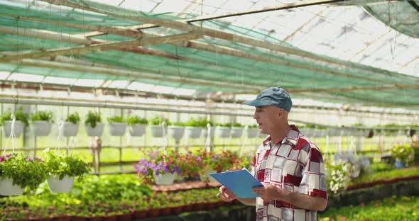 Researcher Examining Potted Plant At Greenhouse alt