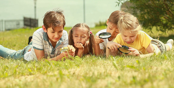 The World Around alt