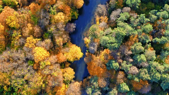 Top view of autumn forest and blue river, Poland alt