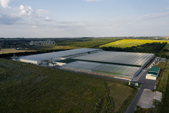 Indoor farming. Aerial top view of glass greenhouse plant