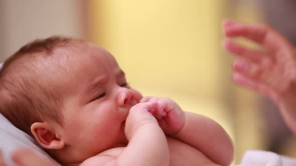 Focus of a new born baby alt