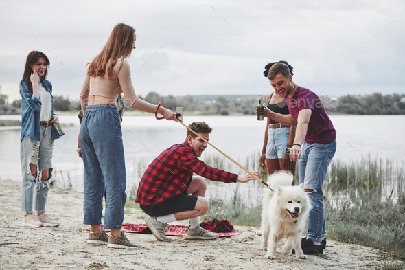 With cute dog. Group of people have picnic on the beach. Friends have fun at weekend time