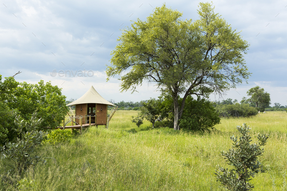 A safari camp, a small pavilion and observation platform on stilts above the grass.