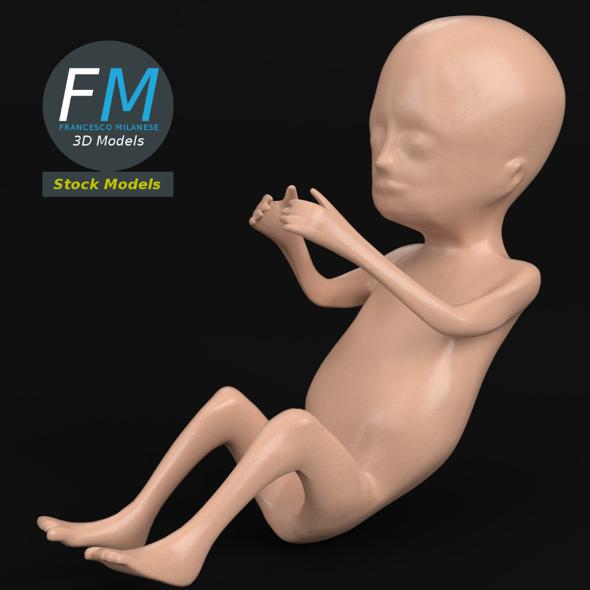 Stylized human fetus - 3Docean 17104094