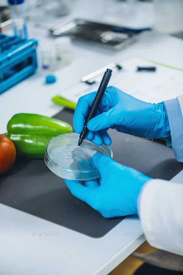 Food Safety and Quality Control Analysis in a Specialized Microbiology