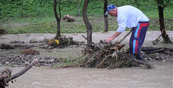 Man Cleaning The  Orchard