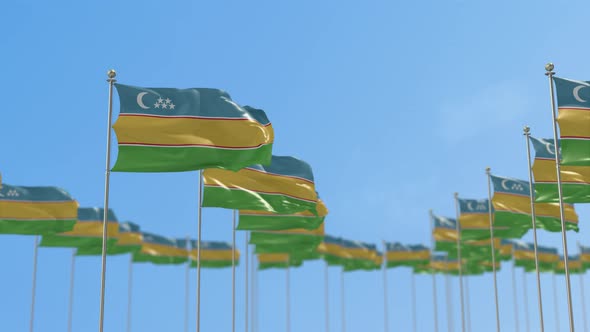 Karakalpak Stan Row Of Flags 3D Animation alt