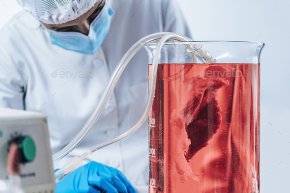 Biotechnology Process with Synthetic Meat Grown in the Laboratory - Stock Photo - Images