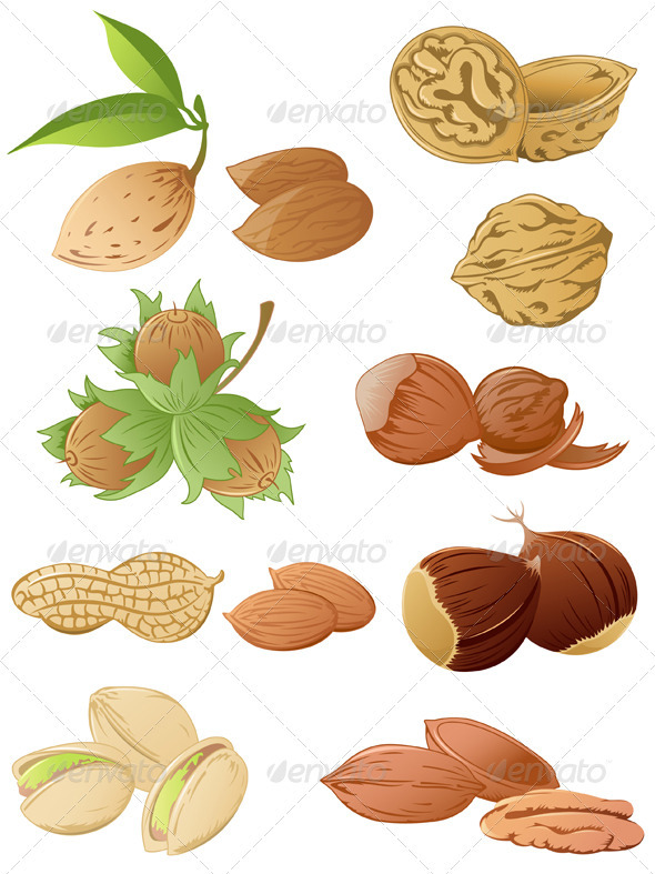 Set of Various Nuts - Food Objects