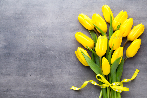 Yellow spring flowers, tulip on a gray background. Stock Photo by  GitaKulinica