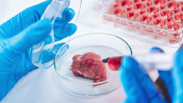 Scientist Injecting Red Substance with Syringe into Meat Sample in Petri Dish