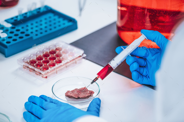 Scientist Injecting Growth Hormone into a Meat Sample
