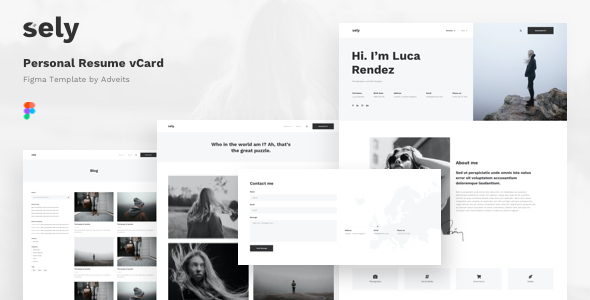 Sely - Personal - ThemeForest 27846714