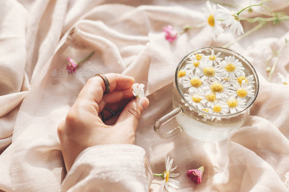 Hand holding white wildflower on background of soft beige fabric with glass cup with daisy flowers
