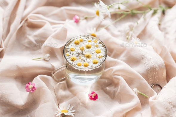 Daisy flowers in water in glass cup - Stock Photo - Images