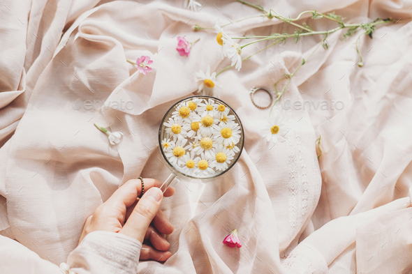 Hand With Jewelry Holding Glass Cup With Daisy Flowers Stock Photo By Sonyachny