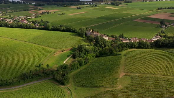 Aerial view Vineyard and old castle - summer - Landscape - Bordeaux vineyards Langoiran