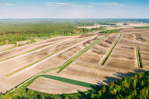 Aerial View Spring Empty Field With Windbreaks Landscape. Top View Of Field And Forest Belt. Drone