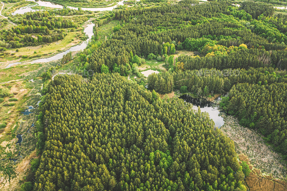Aktuator Vejhus Kronisk Aerial View Green Forest Woods And River Marsh In Summer Landscape. Top  View Of Beautiful European Stock Photo by Grigory_bruev