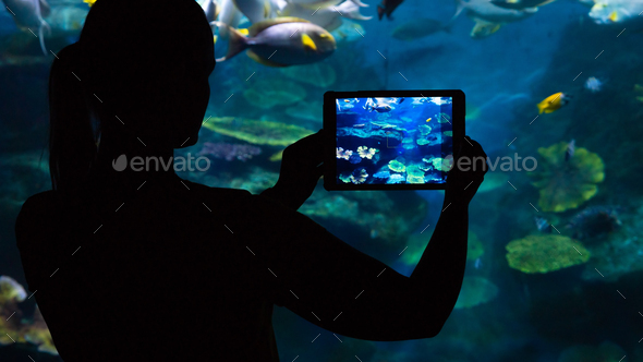 Photographing the underwater world