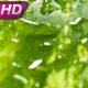Drops Intensively Fall On Watermelon - VideoHive Item for Sale