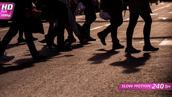 Pedestrians In A Crosswalk alt