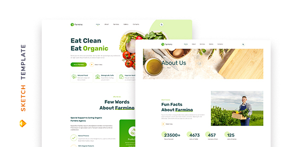 Farmino – Organic Food Template for Sketch