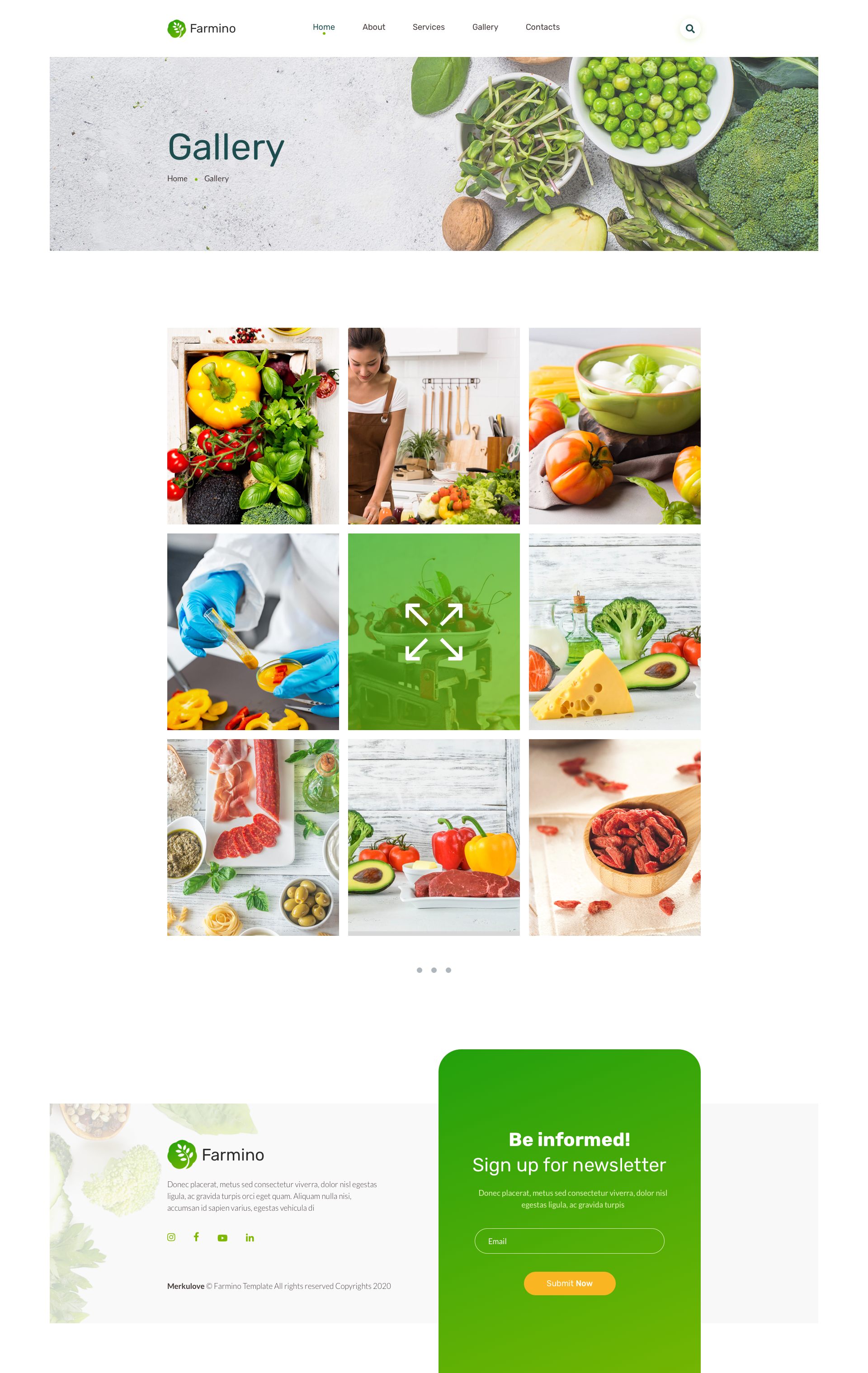 Farmino Organic Food Template For Sketch By Merkulove Themeforest