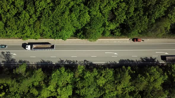 Top Down View of the Forest Road with Car alt
