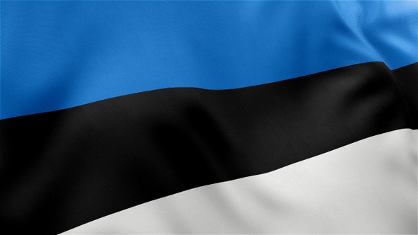 Estonia Flag alt
