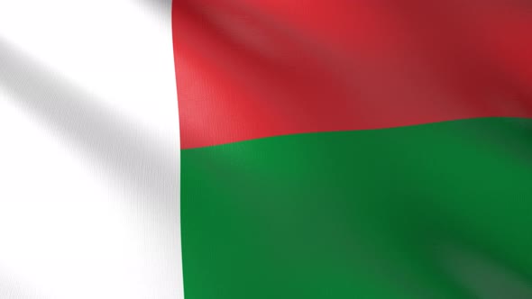Flag of The Madagascar alt