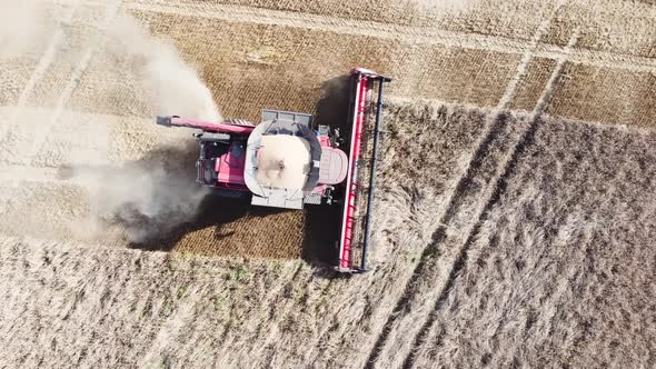 aerial view of combine harvester on the field during wheat harvest.