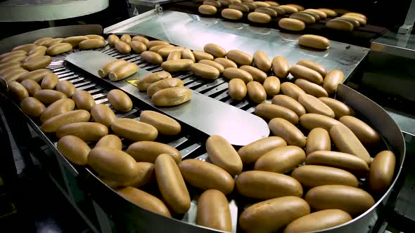 Loaves of Bread and Loaves of Bread on the Production Line in the Bakery alt