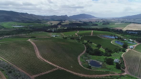 Flight over fertile Hemel-en-Aarde wine valley, with tractor spraying vineyards alt