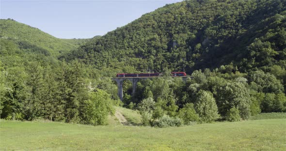 Traveling by railway. Train crosses the bridge through the forest and nature