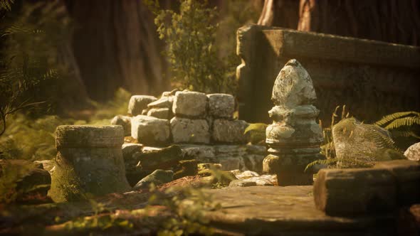 Hoary Ruins of Ancient City in Pine Forest alt