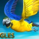 Parrot jumping,flying in the loop and landing from 3 different angles  - VideoHive Item for Sale