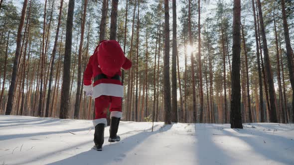 Santa Claus Walks Through the Snowy Pine Forest alt