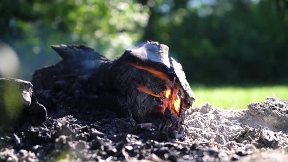 Burning Bonfire and Coals Closeup with Flying Small Sparks Closeup As a Texture alt