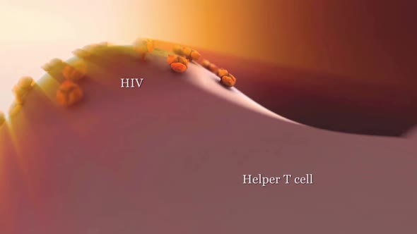 Replication of HIV virus in T cell alt