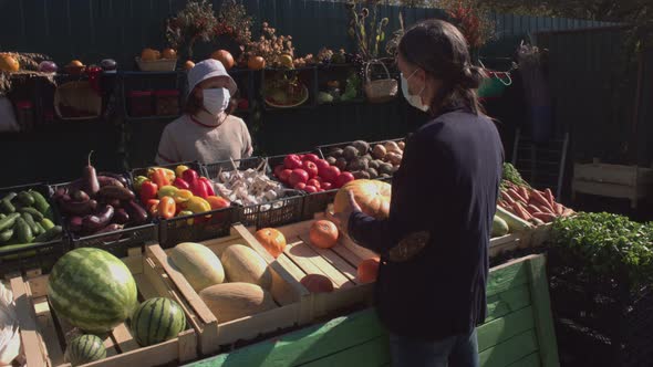 Buying Pumpkins at the Market. Slow Motion 2x.